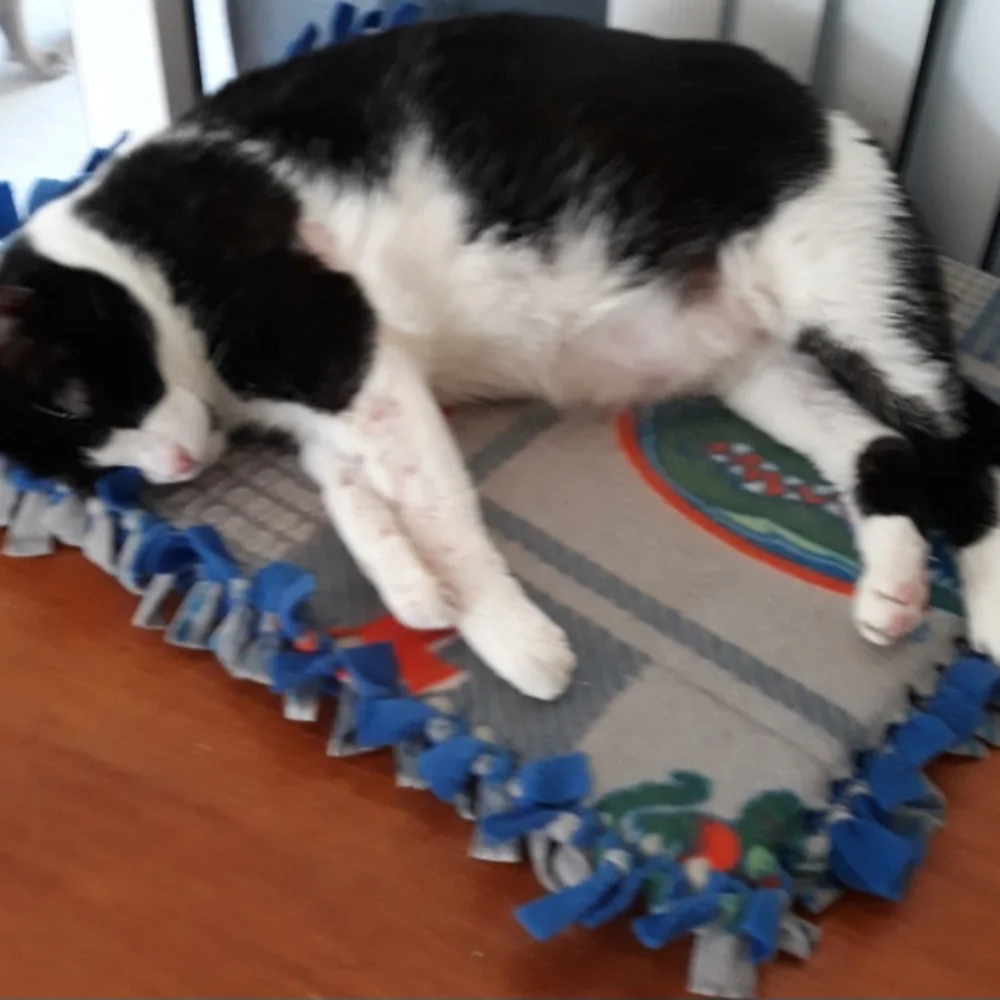 Cat beds and throws